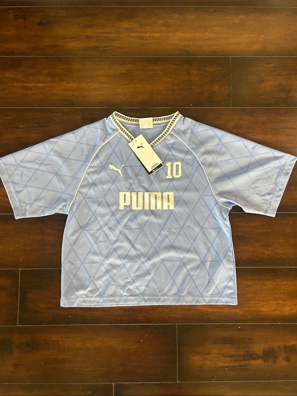 World Cup season! Puma Powder Blue Graphic Soccer Top with White Accents